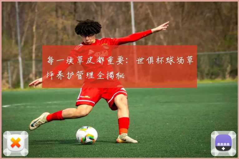 每一块草皮都重要：世俱杯球场草坪养护管理全揭秘