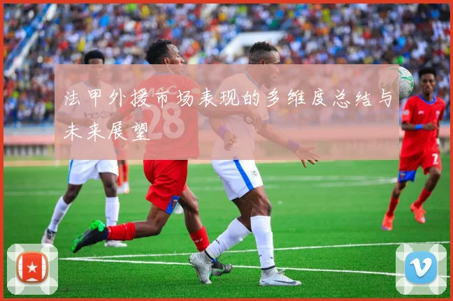 法甲外援市场表现的多维度总结与未来展望