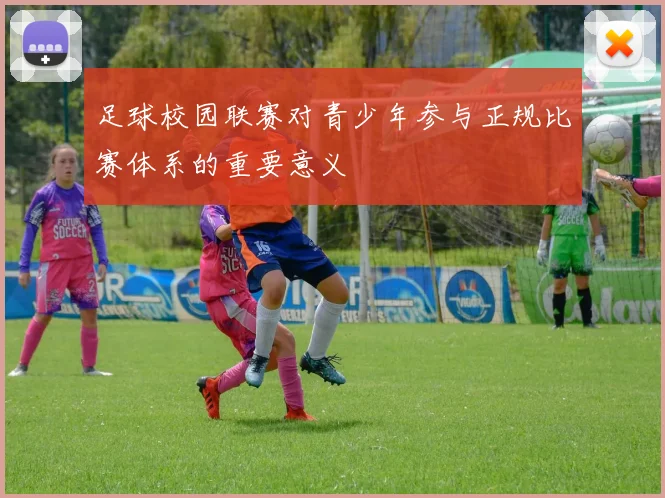 足球校园联赛对青少年参与正规比赛体系的重要意义